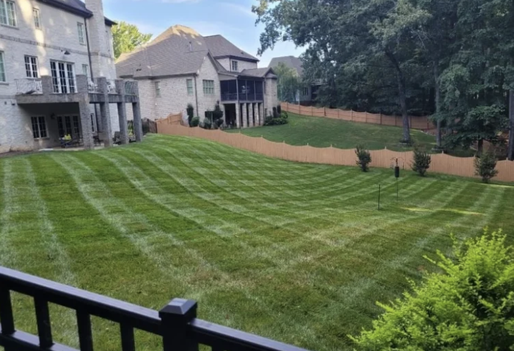 Green Lawn Checkers Stripes